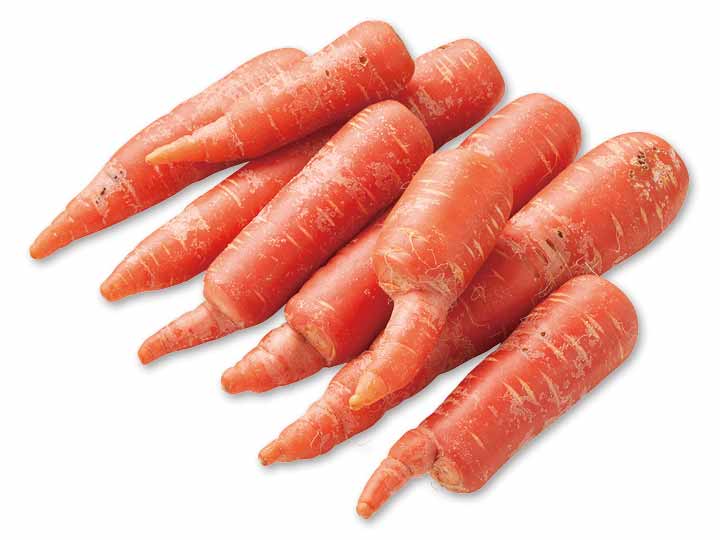 大地のもったいナイふぞろい京くれない人参　1KG