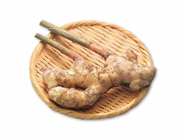 高知の新生姜（泥付き）　100G