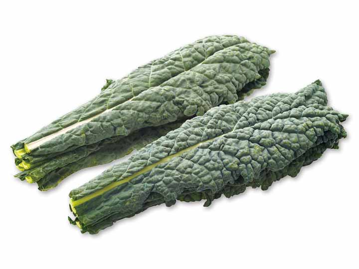 カーボロネロ 黒キャベツ 100g 有機野菜や自然食品の購入は大地を守る会のお買い物サイト