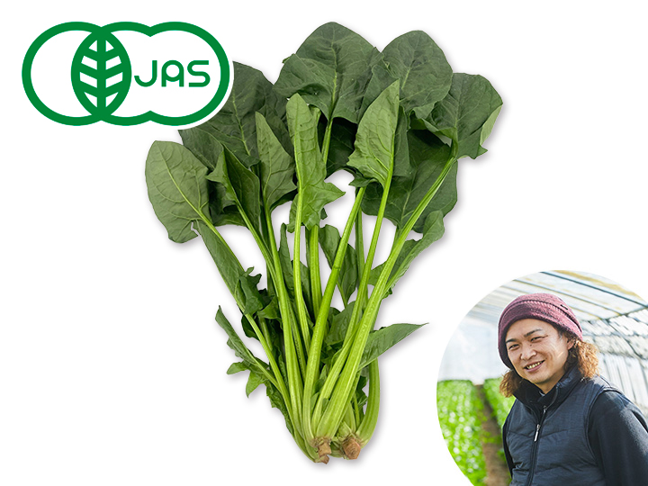 ふしちゃんの有機ほうれんそう　120G