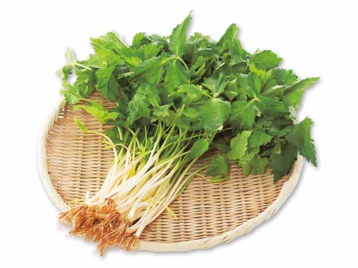 根みつば 0g 有機野菜や自然食品の購入は大地を守る会のお買い物サイト 根みつば 0g 有機野菜や自然食品の購入は大地を守る会のお買い物サイト