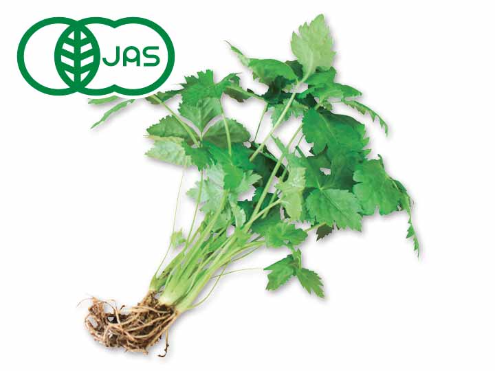 有機みつば　30G