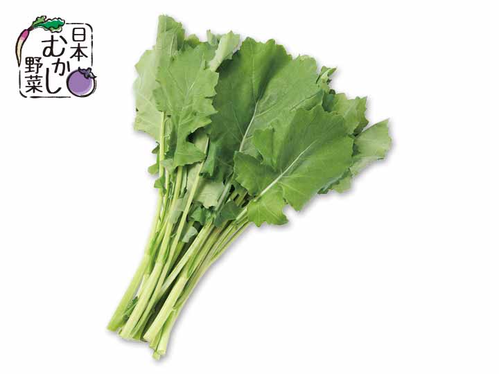 日本むかし野菜・群馬の宮内菜（栽培期間中節減対象農薬不使用）　200G