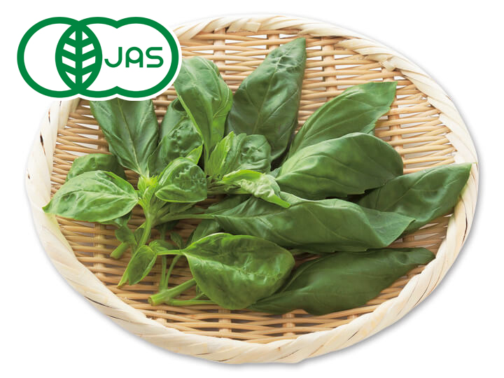 有機スイートバジル 15g 有機野菜や自然食品の購入は大地を守る会のお買い物サイト