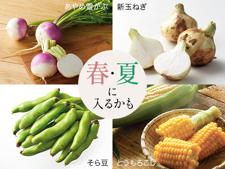 畑まるごと野菜セット・5選_3
