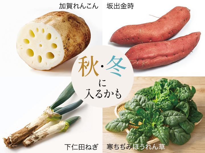 畑まるごと野菜セット・5選_4