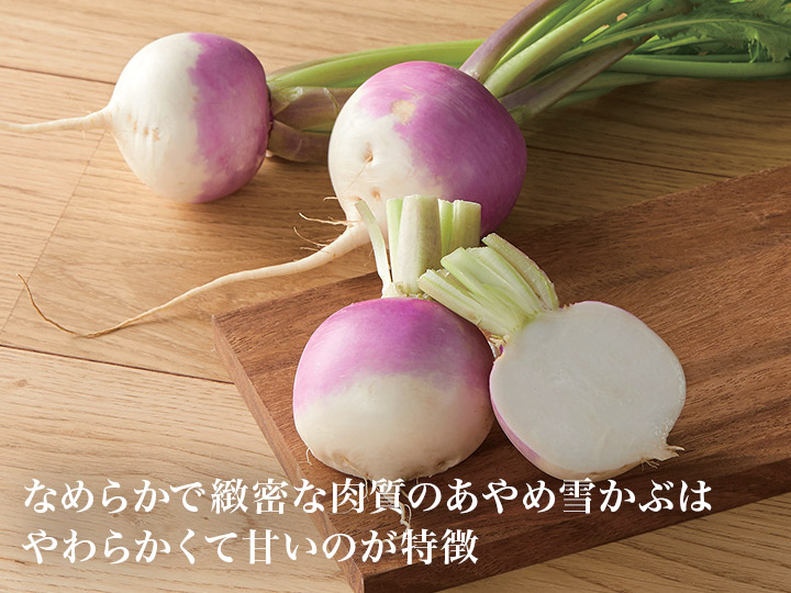 【ベジオタのひと皿】あやめ雪かぶの5品目カラフルチョップドサラダ_3