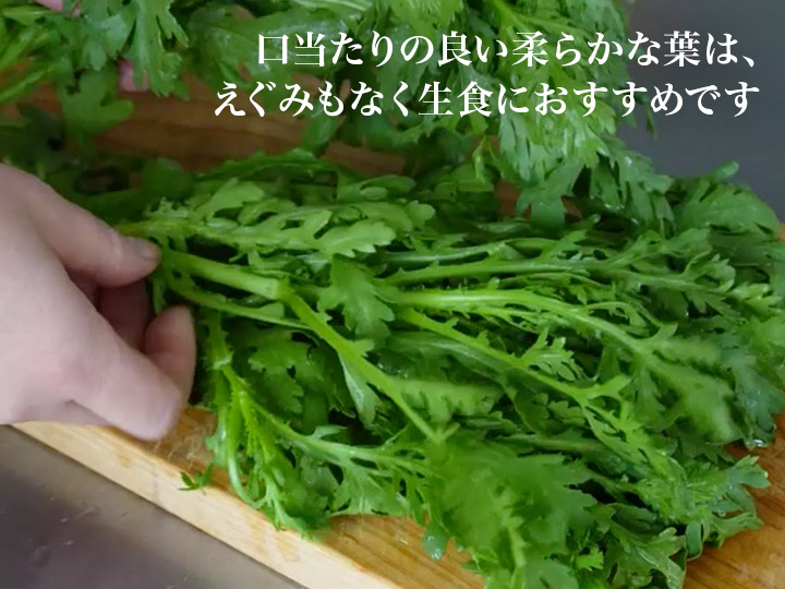 【ベジオタのひと皿】やわらか春菊の和風サラダ_3