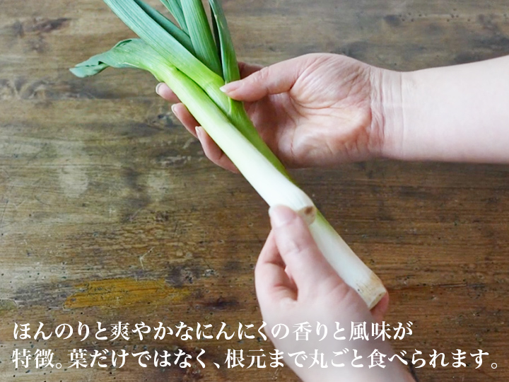 【ベジオタのひと皿】香りも葉も根も。まるごと楽しむ葉にんにくのごちそうホットサラダ_3