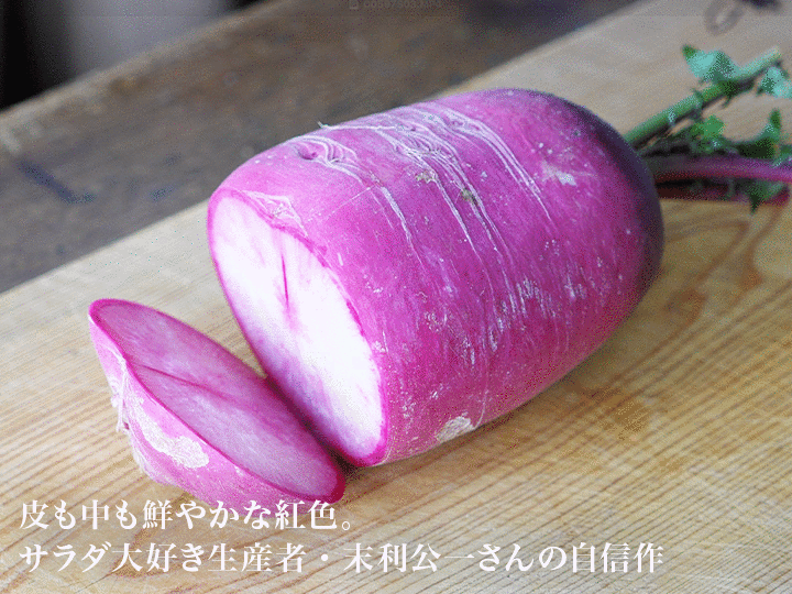 【ベジオタのひと皿】紅くるりの7品目カラフルチョップドサラダ_3