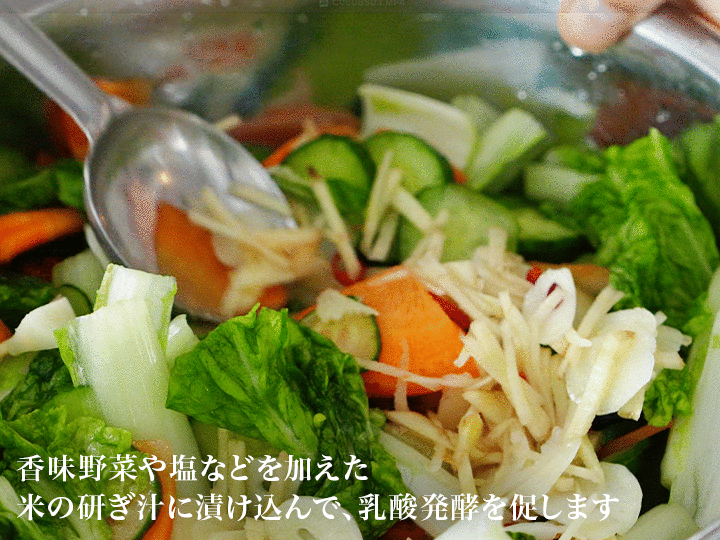 【ベジオタのひと皿】べか菜で手仕事〜3種野菜の水キムチ_4