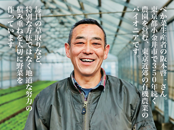 【ベジオタのひと皿】べか菜で手仕事〜3種野菜の水キムチ_5