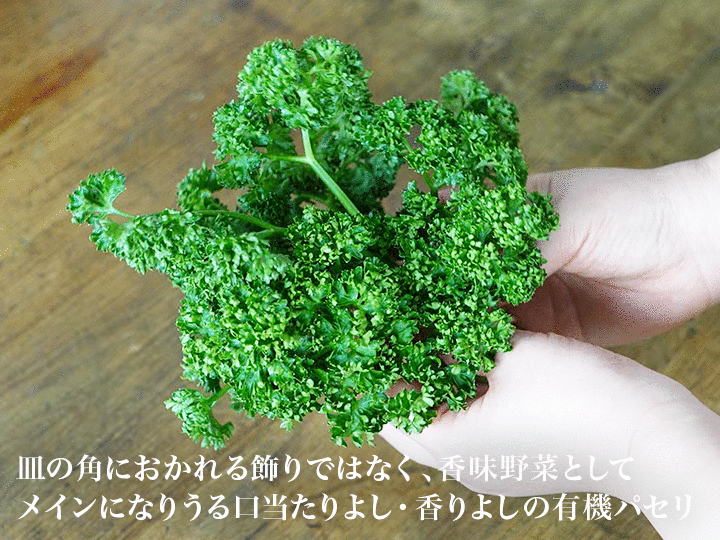 【ベジオタのひと皿】やわらか有機パセリが主役の中東風ライスサラダ_3