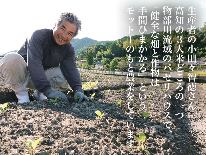 【ベジオタのひと皿】やわらか有機パセリが主役の中東風ライスサラダ_5