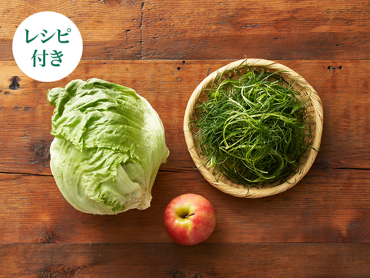 【ベジオタのひと皿】ピンクレディと生おかひじきでいただく、春レタスサラダ_2