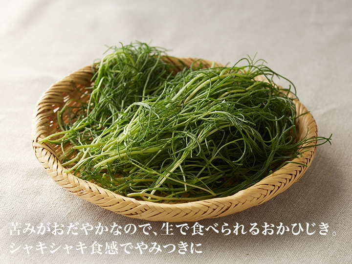 【ベジオタのひと皿】ピンクレディと生おかひじきでいただく、春レタスサラダ_5