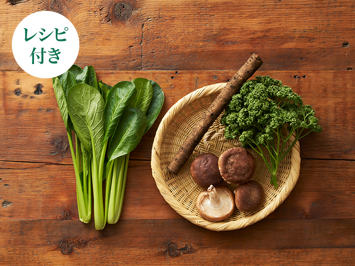 【ベジオタのひと皿】腸おいしい！ごぼうときのこの野菜だらけのパスタソース_2