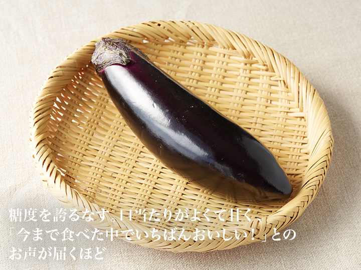 【ベジオタのひと皿】畑の宝石・石田さんの輝楽なすを味わう和風ラタトゥイユ_5