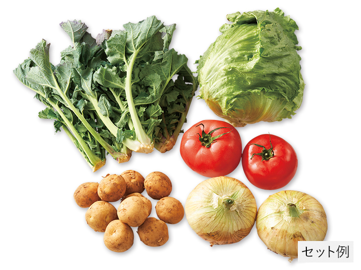 新物も！春爛漫野菜セット_2