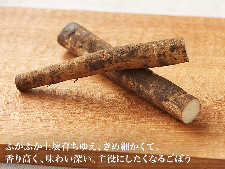 【ベジオタのひと皿】和風ローストごぼうと早摘み生春菊の香ばしサラダ_3