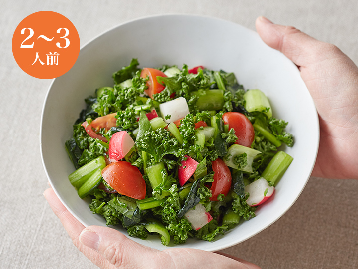 【ベジオタのひと皿】花咲くパセリの森サラダ　〜生小松菜と食感を愉しむ彩り野菜