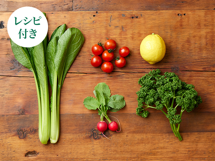 【ベジオタのひと皿】花咲くパセリの森サラダ 〜生小松菜と食感を愉しむ彩り野菜_2