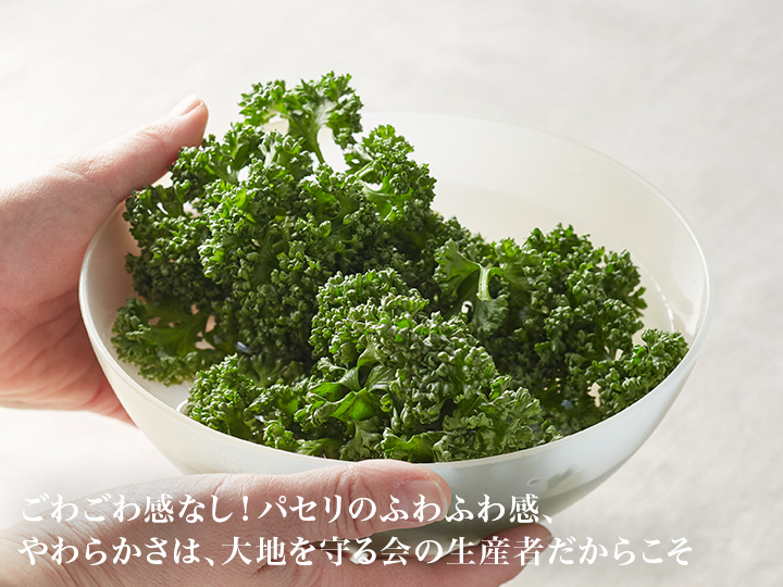 【ベジオタのひと皿】花咲くパセリの森サラダ 〜生小松菜と食感を愉しむ彩り野菜_3