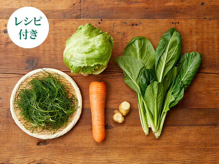 【ベジオタのひと皿】春をすくう楽しみ〜彩り野菜と生姜だれのベジしゃぶ_2