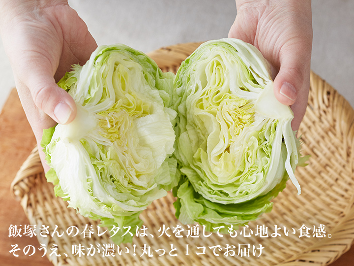 【ベジオタのひと皿】春をすくう楽しみ〜彩り野菜と生姜だれのベジしゃぶ_3
