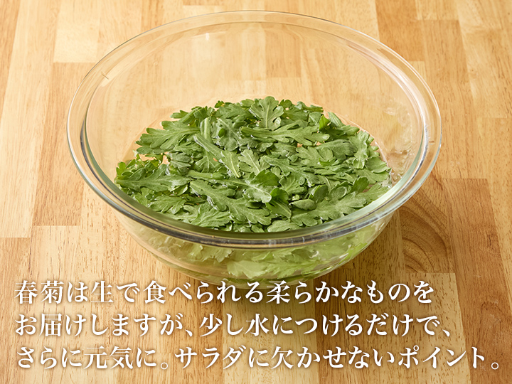 【ベジオタのひと皿】やわらか生春菊とあやめ雪かぶの中華風デリサラダ（4品目）_4