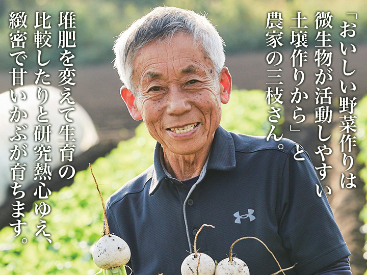 【ベジオタのひと皿】やわらか生春菊とあやめ雪かぶの中華風デリサラダ（4品目）_5