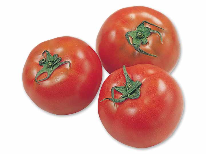 水切り栽培のうま夏トマト　400G