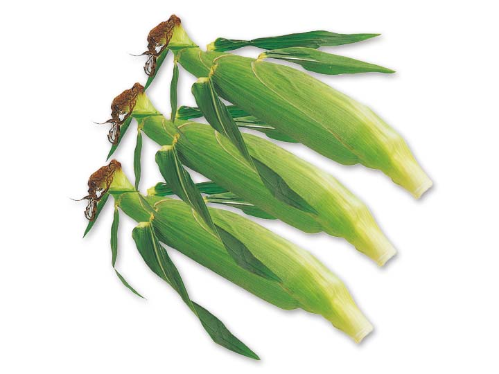 頒布会　旬甘とうもろこし3本_2