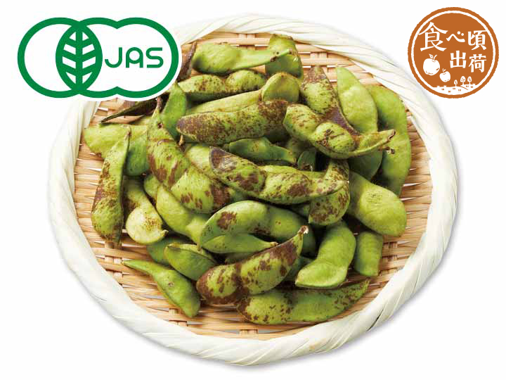 予約　丹波篠山の有機黒大豆枝豆　200G