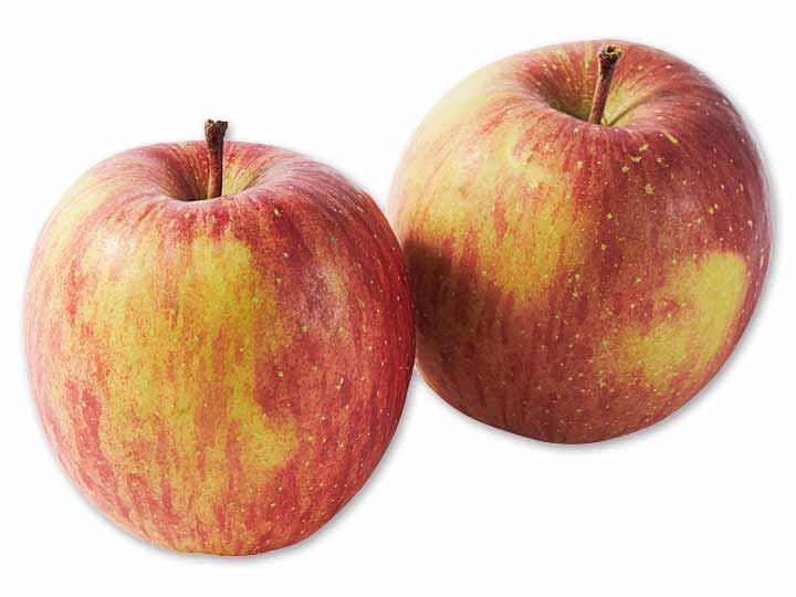 新農研の葉とらずふじ（りんご）・熊被害支援金付　450G