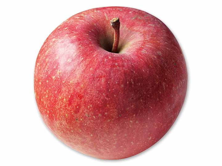 蔵出しふじりんご　1コ