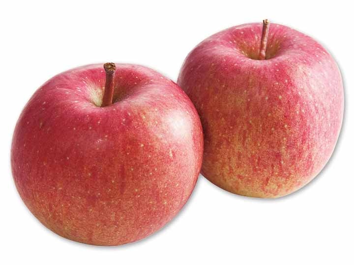 蔵出しふじりんご　2コ