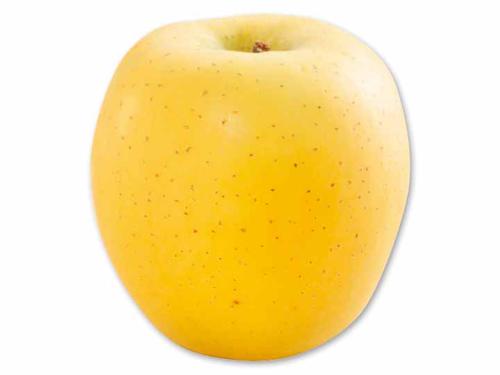 蔵出しシナノゴールド　1コ