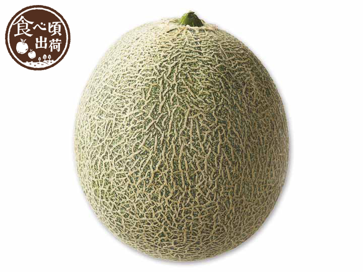 予約　長崎のタカミメロン　1コ