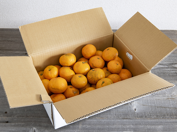 愛媛・無茶々園の温州みかん　3KG