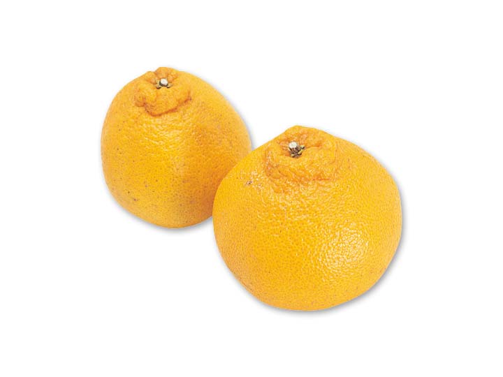 しらぬい（柑橘）　450G