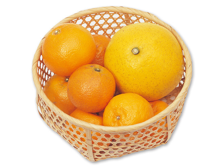 柑橘食べ比べセット