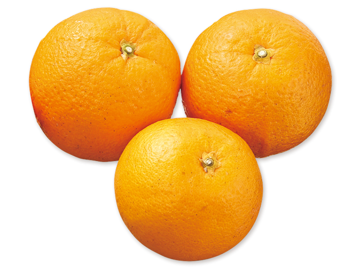 すっきりとした味わいが初夏にぴったりバレンシアオレンジ（柑橘）　500Gご注文・ご予約その他バレンシアオレンジ（柑橘）　500G のレビュー	            	                	            エミコ							            	                	            くまパパ							            	                	            シェビィ							            	                	            おやさい							            	                	            黒まめ							            	                	            ななず							            	                	            おやさい