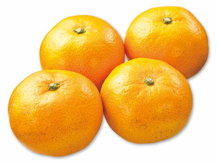 愛媛・無茶々園の温州みかん　400G