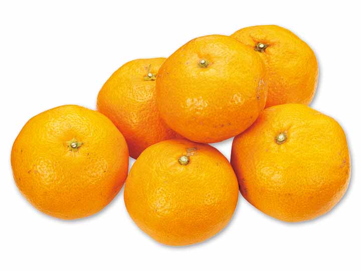 愛媛・無茶々園の温州みかん　800G