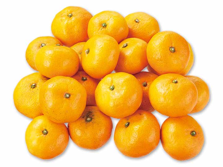 徳用　愛媛・無茶々園の温州みかん　2KG