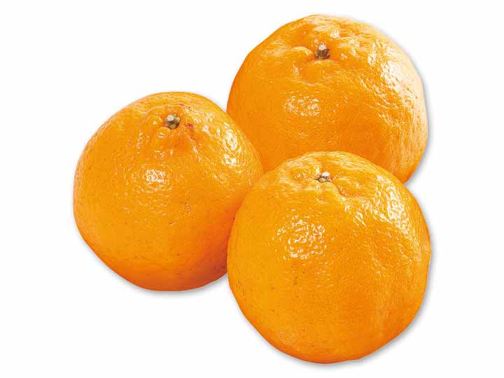 愛媛　無茶々園のぽんかん　500G