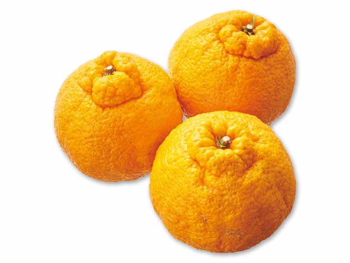 熟成・蔵出ししらぬい　800G