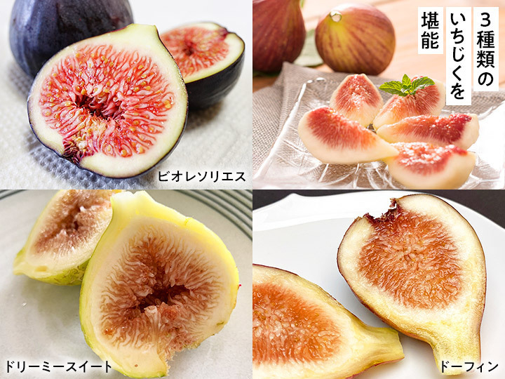 予約　とろける甘さ　直送・3種のいちじく食べ比べ　500G