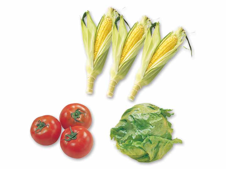 3種の夏野菜　満喫セット